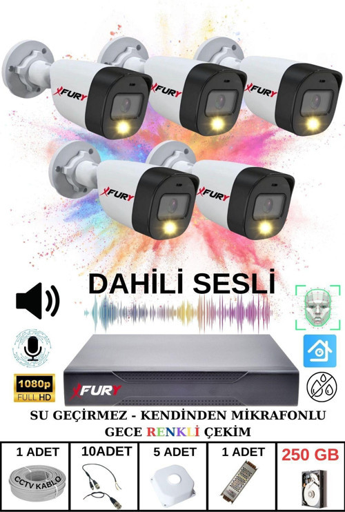 5 li Sesli Gece Renkli Görüş Güvenlik Kamerası Su Geçirmez Güvenlik Kamerası Seti 250GB