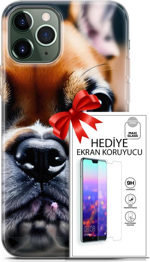 Apple İphone 11 Pro Max Kılıf Orijinal Seri Dogs 10 İngiliz Mastiff Full Hd Kılıf + Ekran Koruyucu