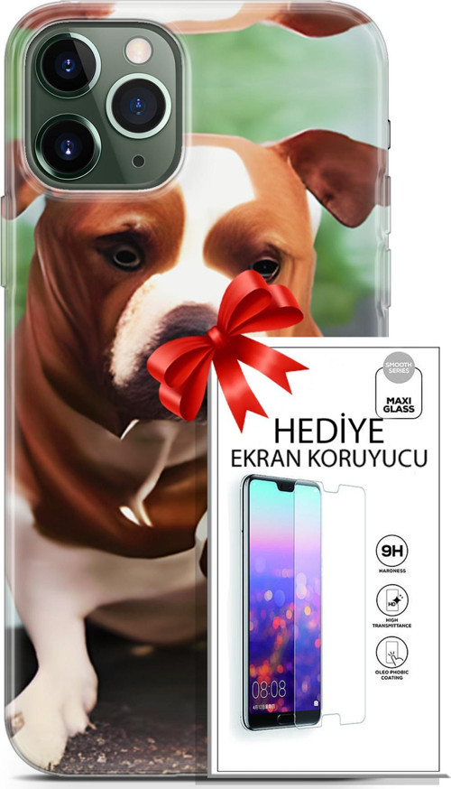 Apple İphone 11 Pro Max Kılıf Orijinal Seri Dogs 29 American Staffordshire Leke Tutmaz Kapak + Ekran Koruyucu