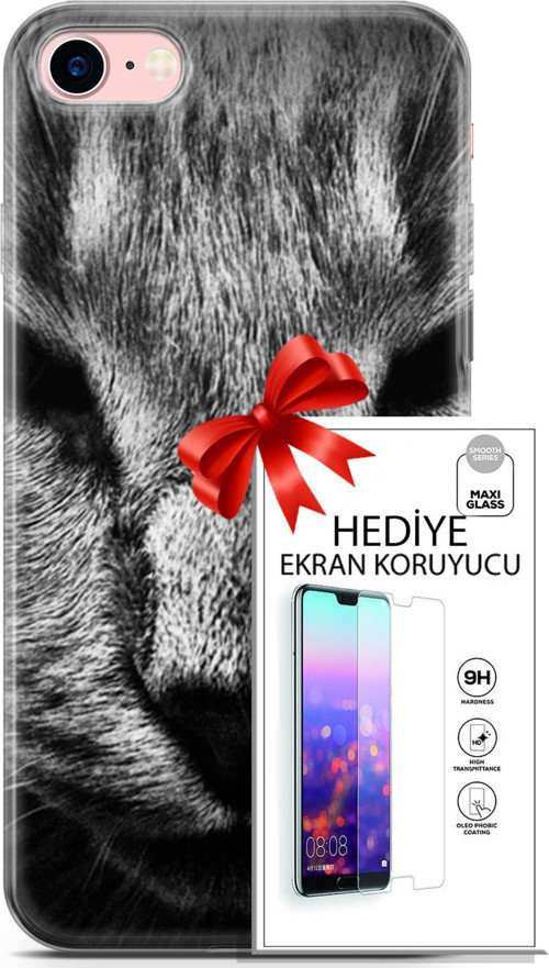 Apple İphone 7 - 8 Kılıf Orijinal Seri Scotish-British 23 Gri Detay Kedi Telefon Kabı Ve Ekran Koruyucu