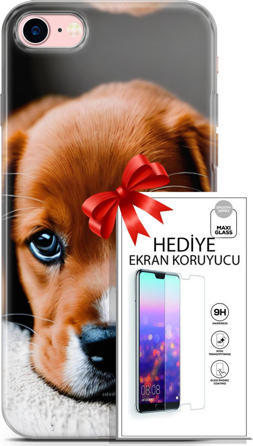 Apple İphone 7 - 8 Kılıf Orijinal Seri Dogs 09 Beagle Uv Kılıf Ve Ekran Koruyucu