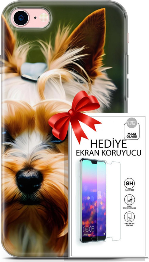 Apple İphone 7 - 8 Kılıf Orijinal Seri Dogs 13 Yorkshire Terriyer Case Kapak Ekran Koruyucu