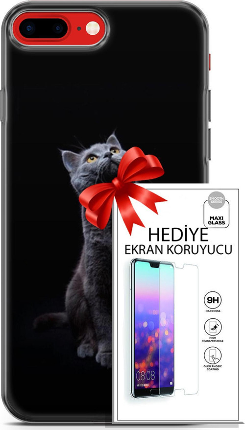 Apple İphone 7 Plus - 8 Plus Kılıf Orijinal Seri Scotish-British 21 British Shorthair Portre Darbe Ekran Koruyucu
