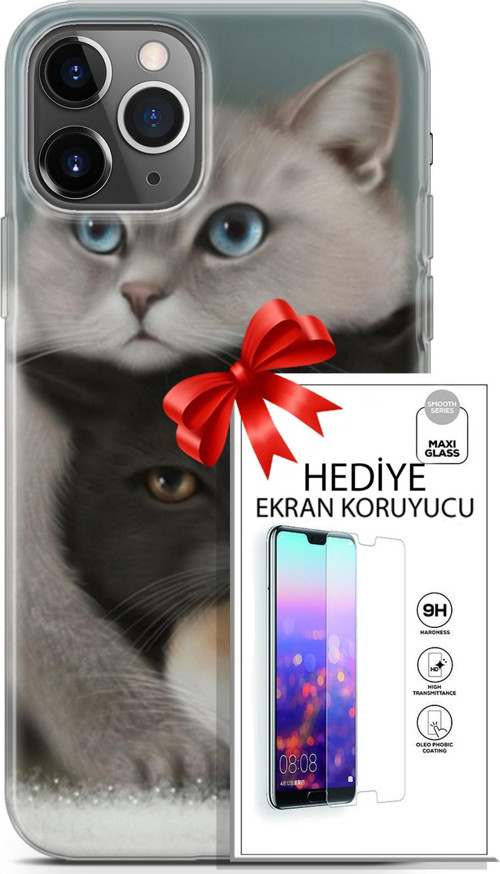 Apple İphone 11 Pro Kılıf Orijinal Seri Scotish-British 13 Beyaz Gri Kahve Kediler Case Kapak Ekran Koruyucu
