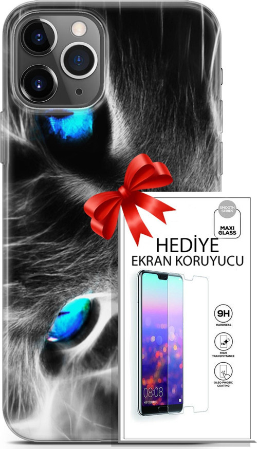 Apple İphone 11 Pro Kılıf Orijinal Seri Scotish-British 26 Amerikan Kedisi Soft Kapak + Ekran Koruyucu