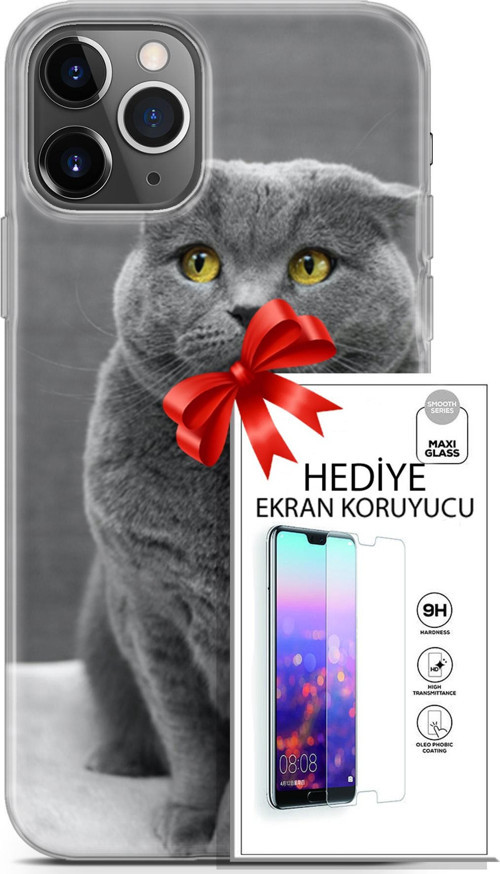 Apple İphone 11 Pro Kılıf Orijinal Seri Scotish-British 17 Scottish Duman Gri Yumuşak Kılıf + Ekran Koruyucu