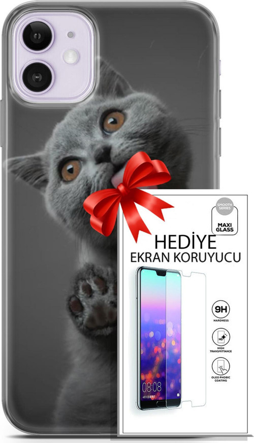 Apple İphone 11 Kılıf Orijinal Seri Scotish-British 09 Yavru Kedi Uv Kılıf Ve Ekran Koruyucu