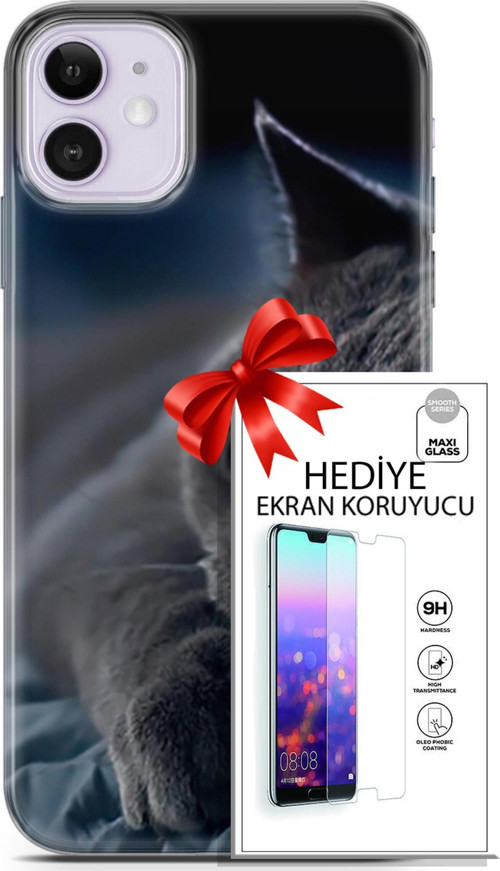 Apple İphone 11 Kılıf Orijinal Seri Scotish-British 20 Yatan Kedi Renkli Kılıf Ekran Koruyucu