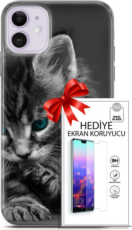 Apple İphone 11 Kılıf Orijinal Seri Scotish-British 19 Mavi Gözlü Ragdoll Tam Koruma Kılıf + Ekran Koruyucu
