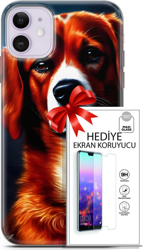 Apple İphone 11 Kılıf Orijinal Seri Dogs 21 Spaniel Darbe Önleyici Kapak + Ön Ekran Koruyucu