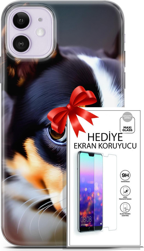 Apple İphone 11 Kılıf Orijinal Seri Dogs 11 İsviçre Bernese 4K Baskılı Kılıf + Ekran Koruyucu Full