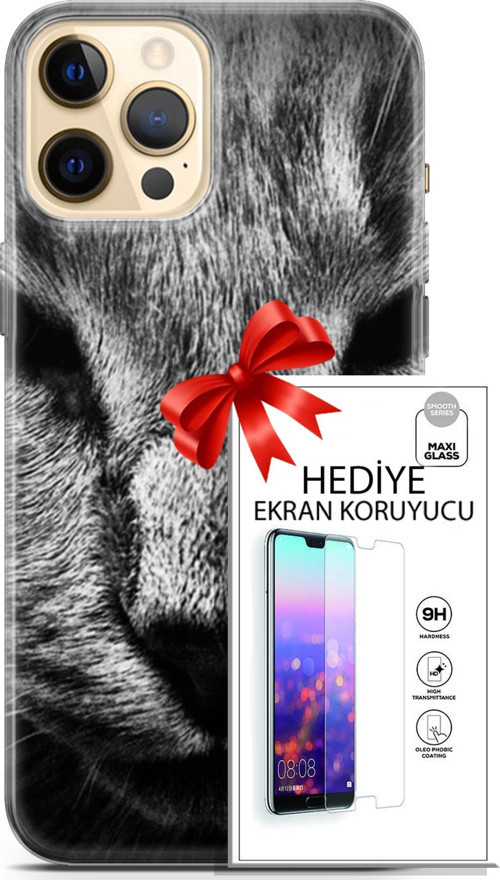 Apple İphone 12 Pro Kılıf Orijinal Seri Scotish-British 23 Gri Detay Kedi Telefon Kabı Ve Ekran Koruyucu