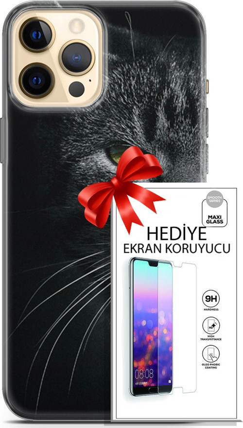 Apple İphone 12 Pro Kılıf Orijinal Seri Scotish-British 24 Asi Kedi Darbe Emici Kılıf + Ekran Koruyucu