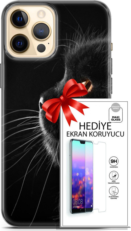 Apple İphone 12 Pro Kılıf Orijinal Seri Scotish-British 22 Kedi Bıyık Detay Kap + Ekran Koruyucu