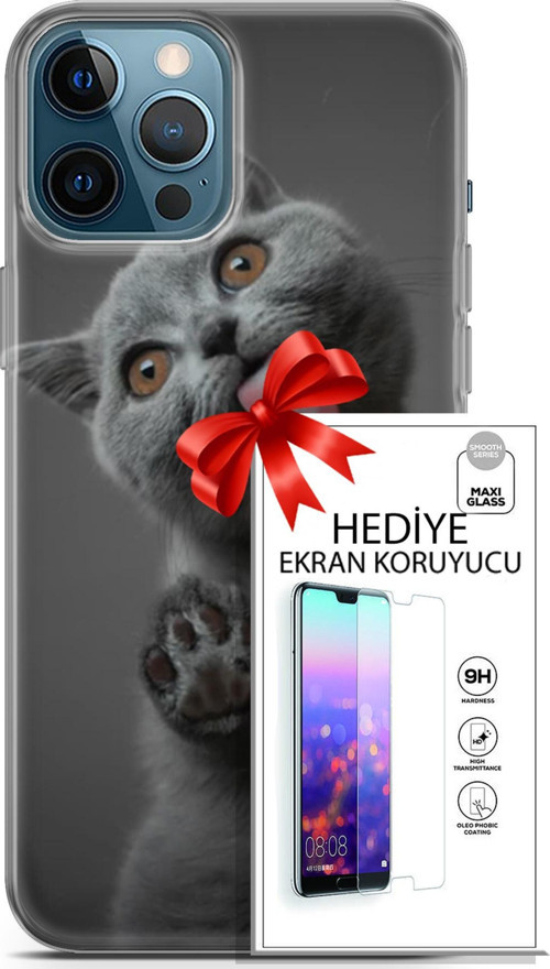 Apple İphone 12 Pro Max Kılıf Orijinal Seri Scotish-British 09 Yavru Kedi Uv Kılıf Ve Ekran Koruyucu