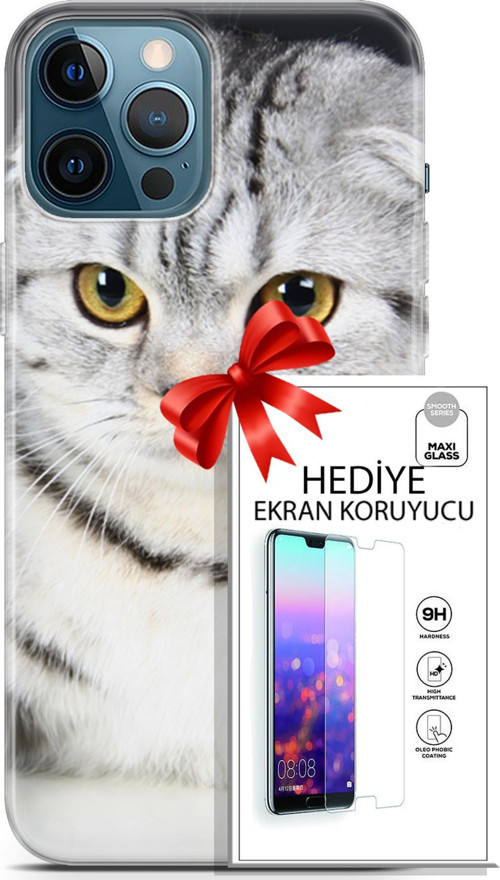 Apple İphone 12 Pro Max Kılıf Orijinal Seri Scotish-British 18 British Beyaz Parlak Kılıf + Ekran Koruyucu