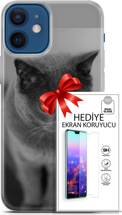Apple İphone 12 Mini Kılıf Orijinal Seri Scotish-British 04 Turuncu Göz Silikon Kılıf + Ekran Koruyucu
