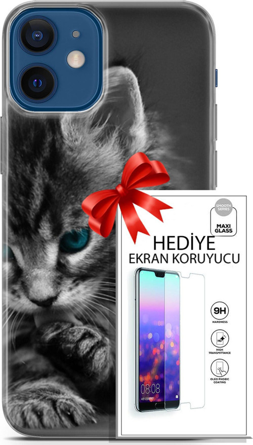 Apple İphone 12 Mini Kılıf Orijinal Seri Scotish-British 19 Mavi Gözlü Ragdoll Tam Koruma Kılıf + Ekran Koruyucu