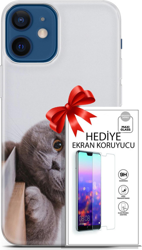 Apple İphone 12 Mini Kılıf Orijinal Seri Scotish-British 06 Duman Koruyucu Kapak Ekran Koruyucu
