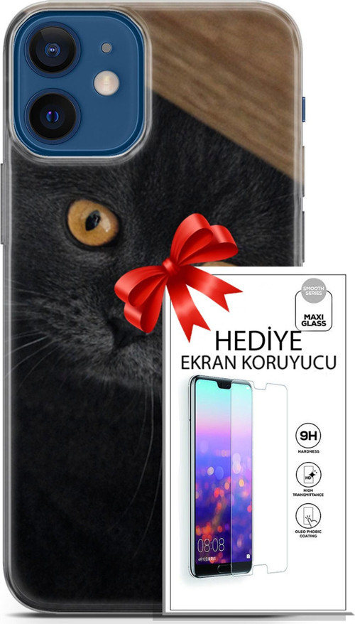 Apple İphone 12 Mini Kılıf Orijinal Seri Scotish-British 03 Sarı Gözler Arka Kapak + Ekran Koruyucu