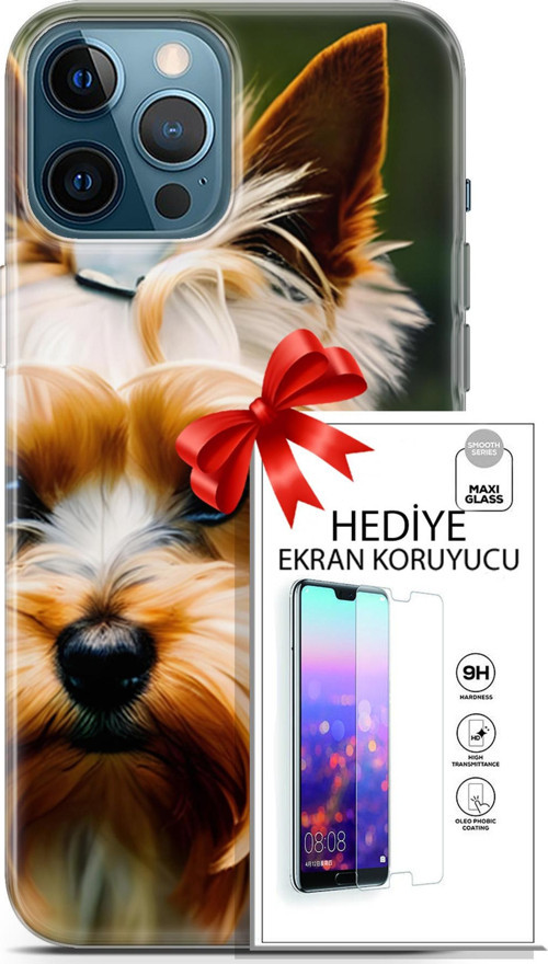 Apple İphone 12 Pro Max Kılıf Orijinal Seri Dogs 13 Yorkshire Terriyer Case Kapak Ekran Koruyucu
