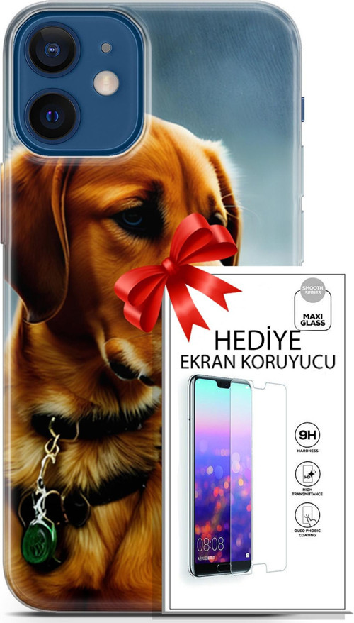 Apple İphone 12 Mini Kılıf Orijinal Seri Dogs 04 Labrador Silikon Kılıf + Ekran Koruyucu Full Koruma