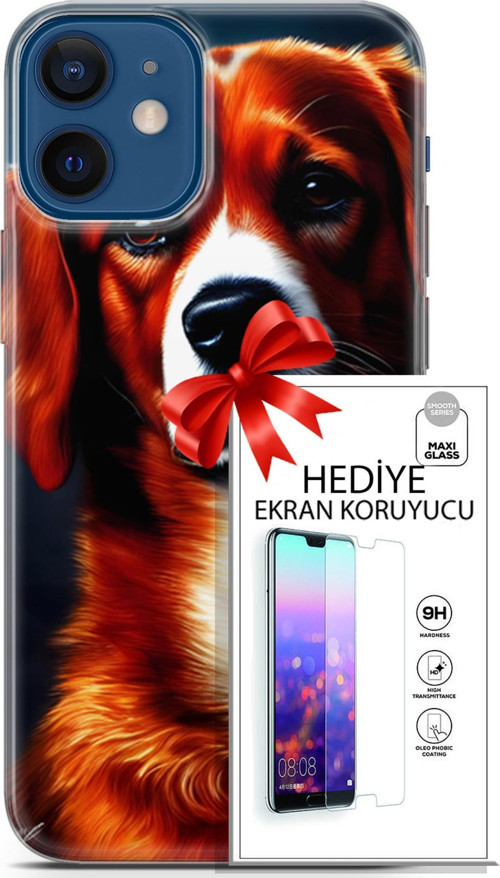 Apple İphone 12 Mini Kılıf Orijinal Seri Dogs 21 Spaniel Darbe Önleyici Kapak + Ön Ekran Koruyucu