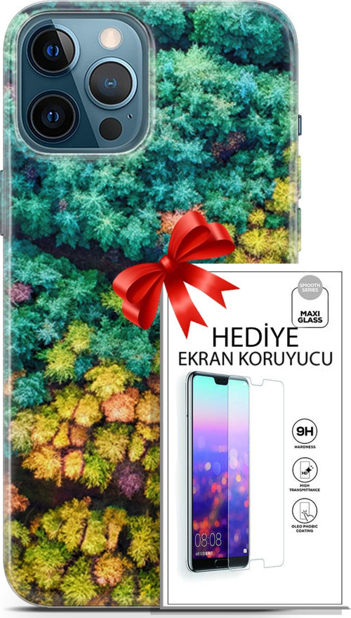 Apple İphone 12 Pro Max Kılıf Orijinal Seri Fantasy 08 Kuşbakışı Orman Baskılı Kılıf + Ekran Koruyucu