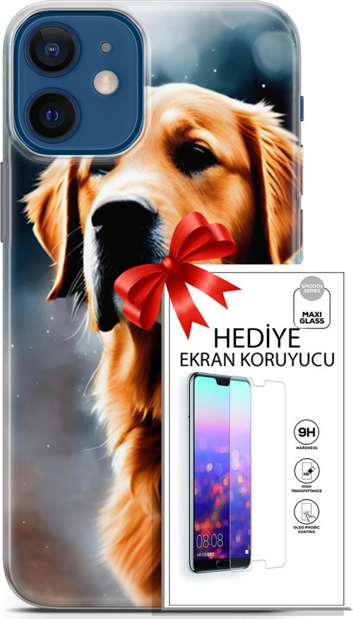 Apple İphone 12 Mini Kılıf Orijinal Seri Dogs 16 Golden Retriever Hediyelik Kılıf Ve Ekran Koruyucu