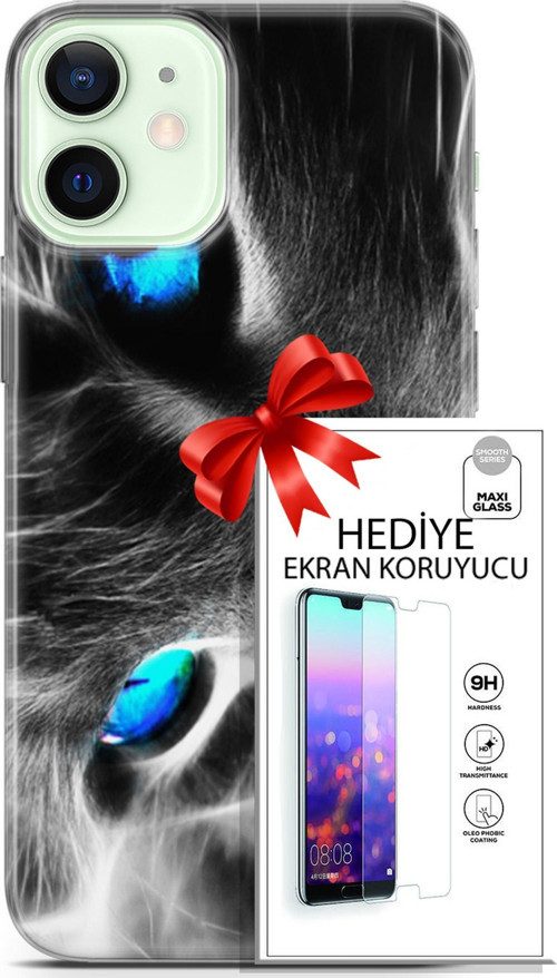 Apple İphone 12 Kılıf Orijinal Seri Scotish-British 26 Amerikan Kedisi Soft Kapak + Ekran Koruyucu