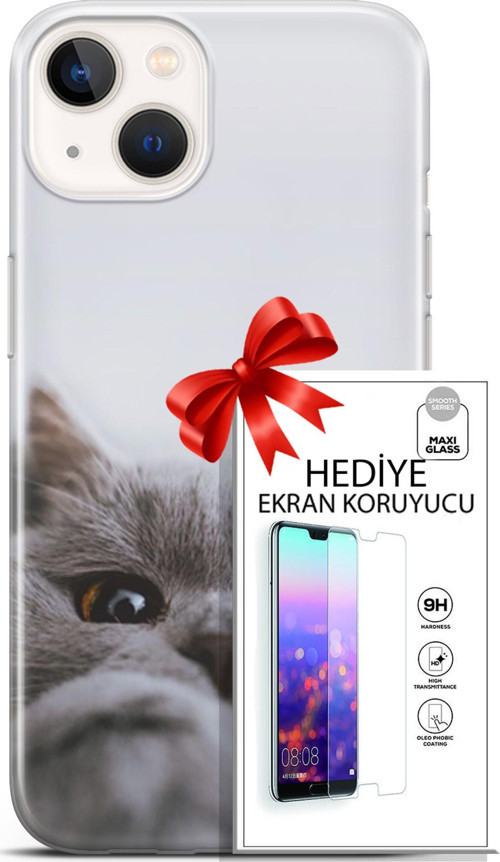 Apple İphone 13 Mini Kılıf Orijinal Seri Scotish-British 08 Sevimli Kedi Baskılı Kılıf + Ekran Koruyucu