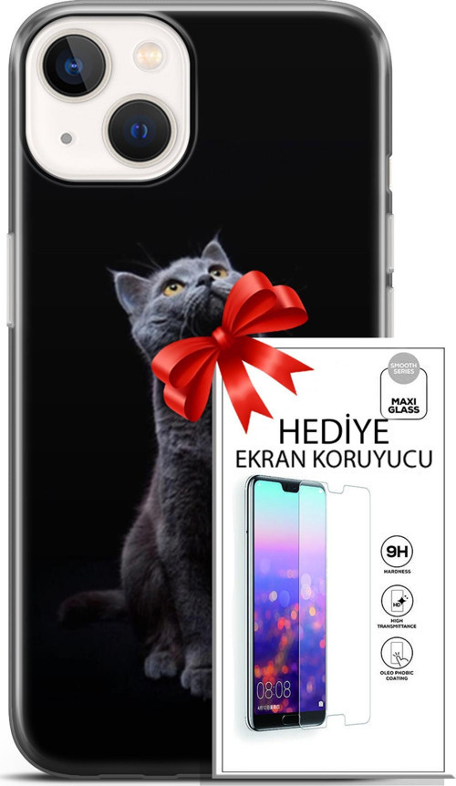 Apple İphone 13 Mini Kılıf Orijinal Seri Scotish-British 21 British Shorthair Portre Darbe Önleyici