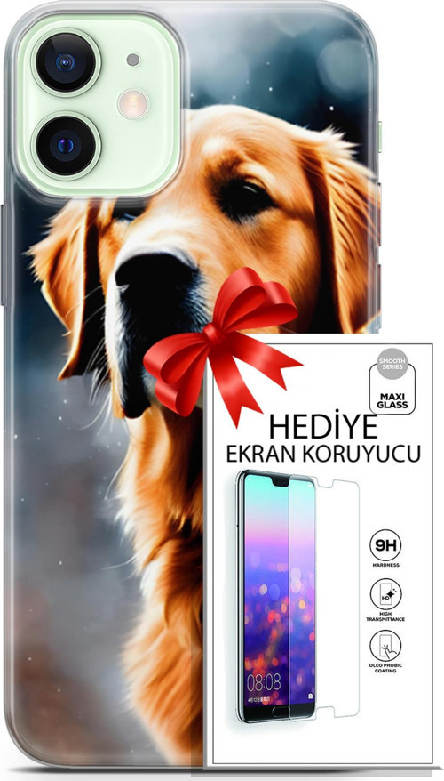 Apple İphone 12 Kılıf Orijinal Seri Dogs 16 Golden Retriever Hediyelik Kılıf Ve Ekran Koruyucu