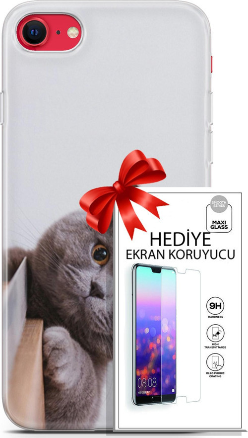 Apple İphone Se 2020 - 2022 Kılıf Orijinal Seri Scotish-British 06 Duman Koruyucu Kapak Ekran Koruyucu