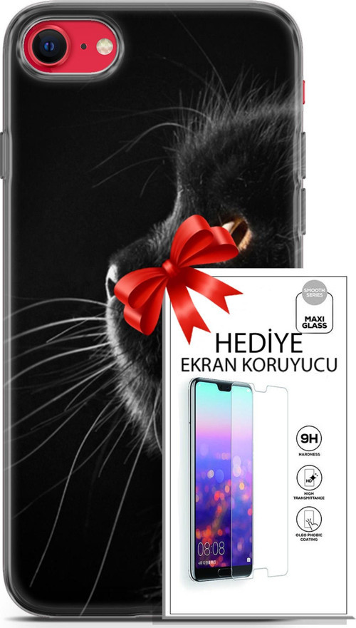 Apple İphone Se 2020 - 2022 Kılıf Orijinal Seri Scotish-British 22 Kedi Bıyık Detay Kap + Ekran Koruyucu