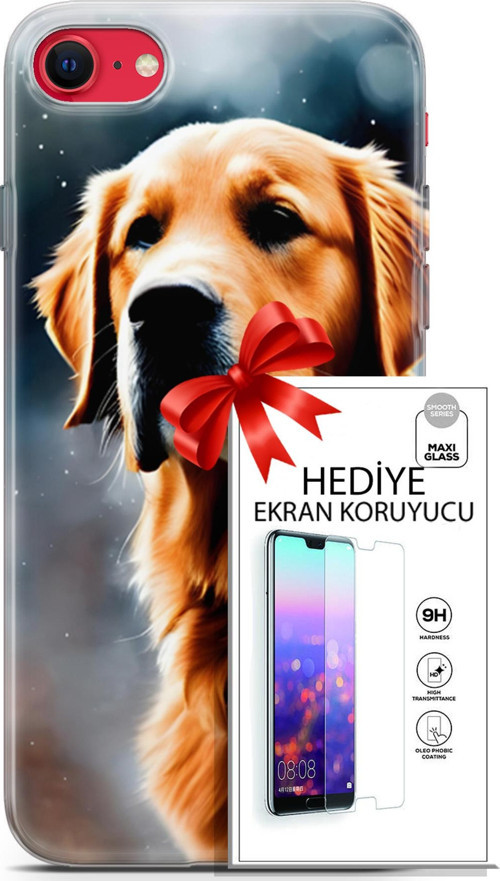 Apple İphone Se 2020 - 2022 Kılıf Orijinal Seri Dogs 16 Golden Retriever Hediyelik Kılıf Ve Ekran Koruyucu