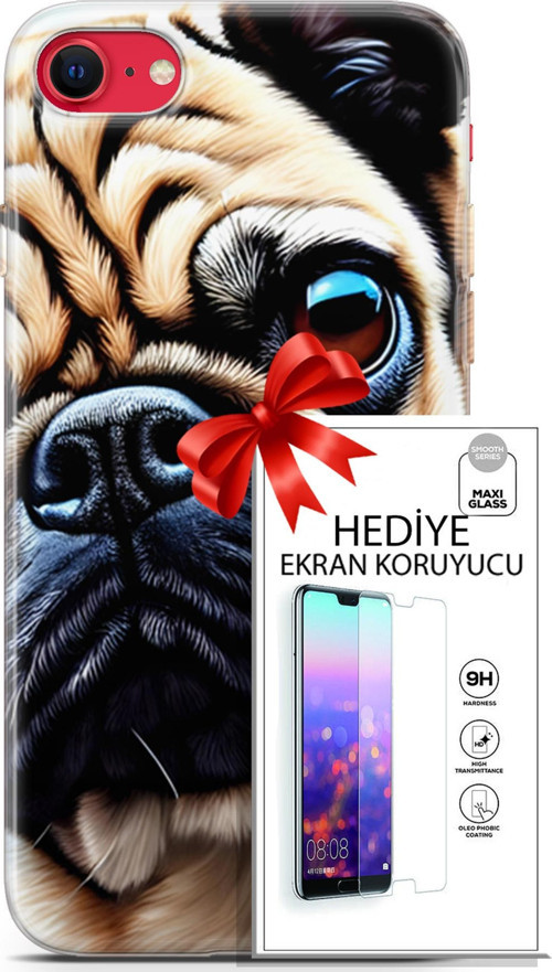 Apple İphone Se 2020 - 2022 Kılıf Orijinal Seri Dogs 08 Pug Baskılı Kılıf + Ekran Koruyucu
