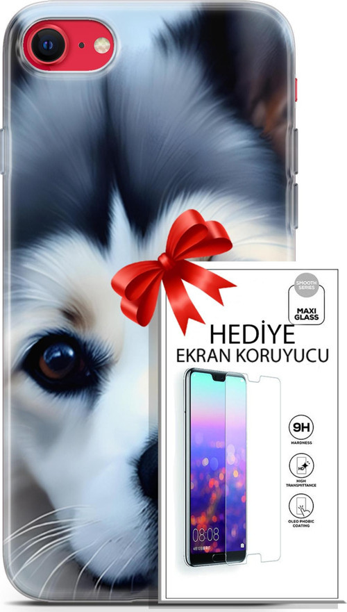 Apple İphone Se 2020 - 2022 Kılıf Orijinal Seri Dogs 12 Shiba Tasarım Kılıf + Ekran Koruyucu