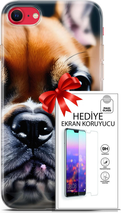 Apple İphone Se 2020 - 2022 Kılıf Orijinal Seri Dogs 10 İngiliz Mastiff Full Hd Kılıf + Ekran Koruyucu