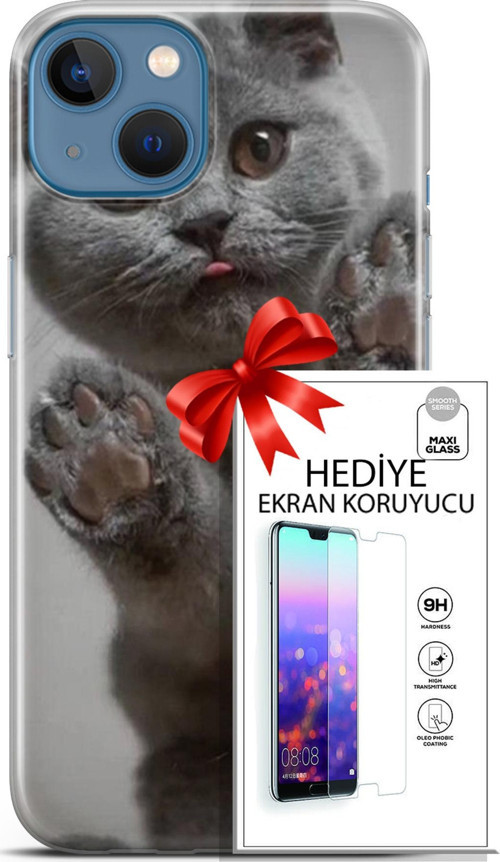 Apple İphone 13 Kılıf Orijinal Seri Scotish-British 10 Yavru Scottish Full Hd Kılıf + Ekran Koruyucu