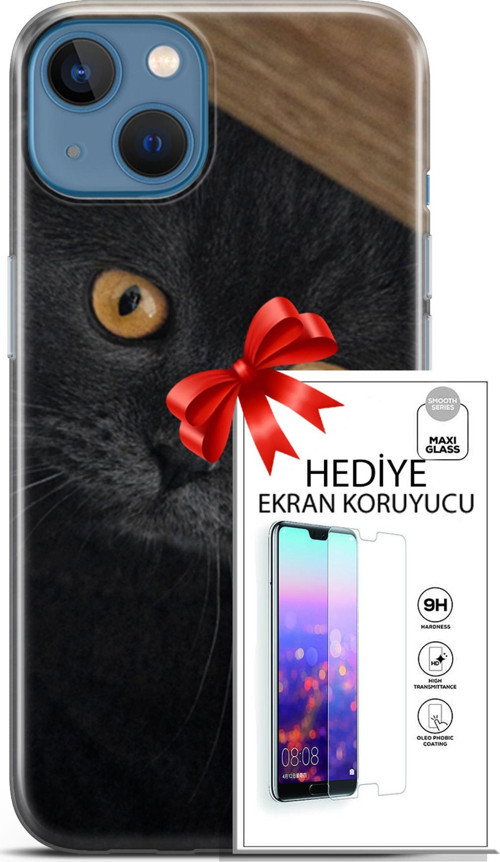 Apple İphone 13 Kılıf Orijinal Seri Scotish-British 03 Sarı Gözler Arka Kapak + Ekran Koruyucu