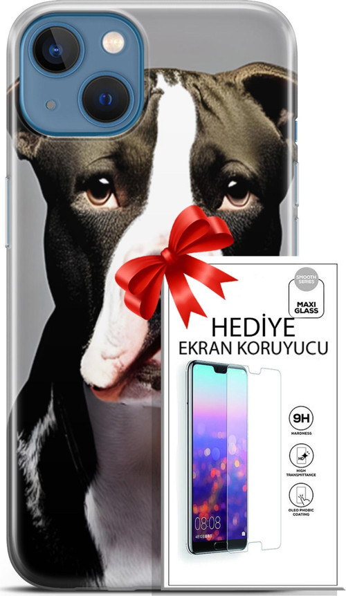 Apple İphone 13 Kılıf Orijinal Seri Dogs 24 American Pitbull Darbe Emici Kılıf + Ekran Koruyucu