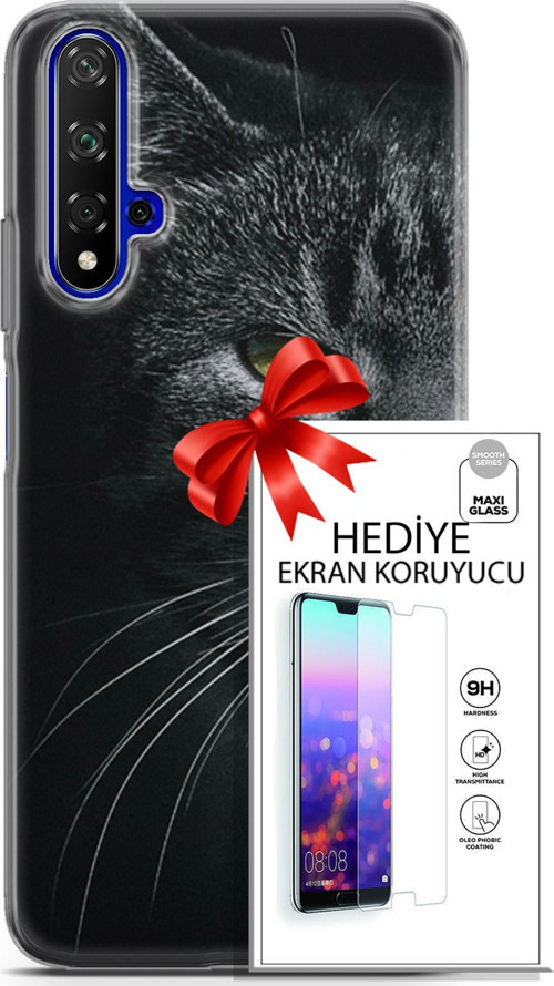 Huawei Nova 5T Kılıf Orijinal Seri Scotish-British 24 Asi Kedi Darbe Emici Kılıf + Ekran Koruyucu