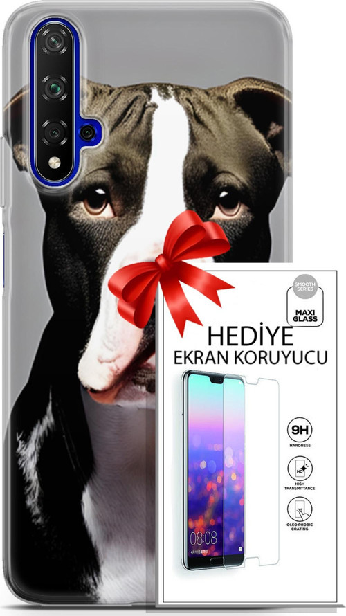 Huawei Nova 5T Kılıf Orijinal Seri Dogs 24 American Pitbull Darbe Emici Kılıf + Ekran Koruyucu