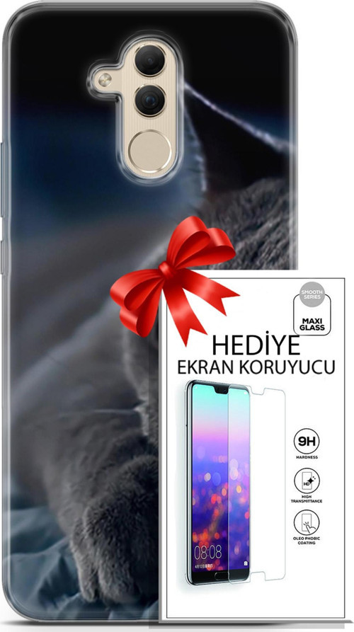 Huawei Mate 20 Lite Kılıf Orijinal Seri Scotish-British 20 Yatan Kedi Renkli Kılıf Ekran Koruyucu
