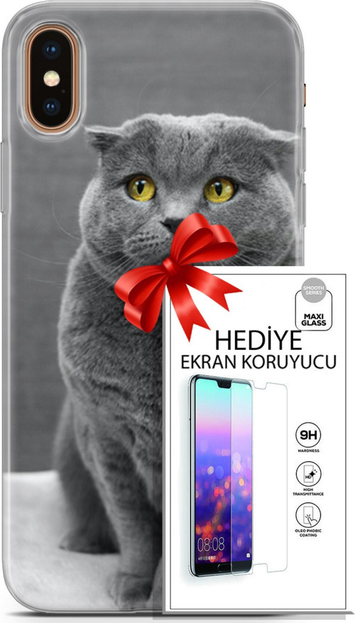 Apple İphone Xs Max Kılıf Orijinal Seri Scotish-British 17 Scottish Duman Gri Yumuşak Kılıf + Ekran Koruyucu