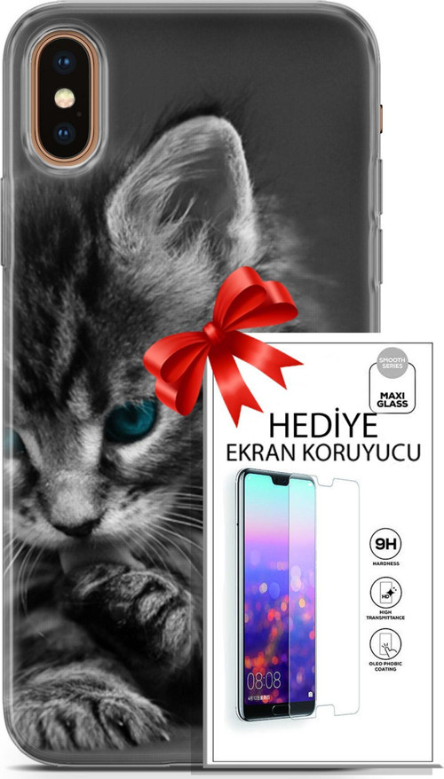 Apple İphone Xs Max Kılıf Orijinal Seri Scotish-British 19 Mavi Gözlü Ragdoll Tam Koruma Kılıf + Ekran Koruyucu