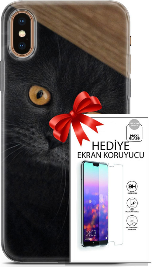Apple İphone Xs Max Kılıf Orijinal Seri Scotish-British 03 Sarı Gözler Arka Kapak + Ekran Koruyucu