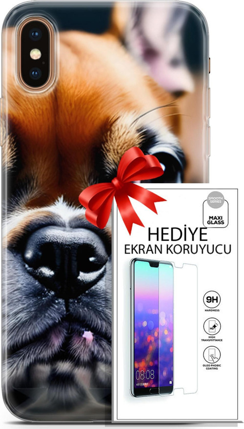 Apple İphone Xs Max Kılıf Orijinal Seri Dogs 10 İngiliz Mastiff Full Hd Kılıf + Ekran Koruyucu