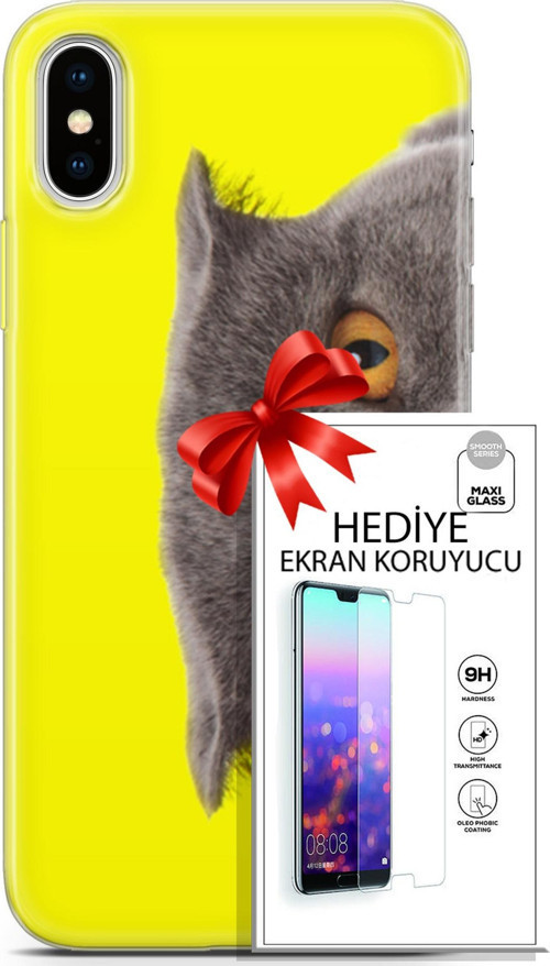 Apple İphone X - Xs Kılıf Orijinal Seri Scotish-British 01 Scottish Fold Telefon Kılıfı + Ekran Koruyucu